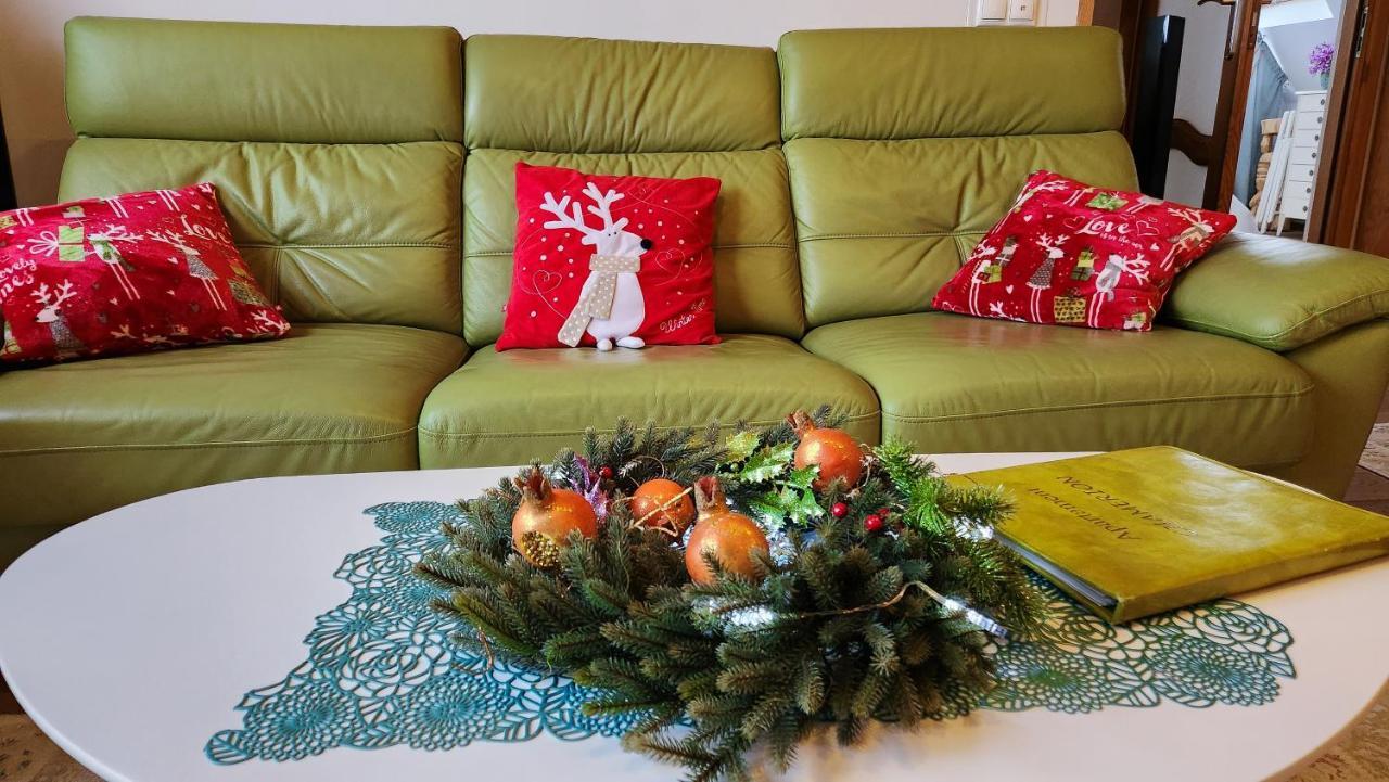 Rezydencja Tatry - Apartament Chamerion 1 زاكوباني المظهر الخارجي الصورة